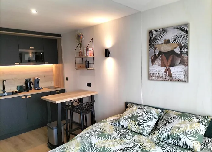 Apartment Zen Et Bois Ecouflant