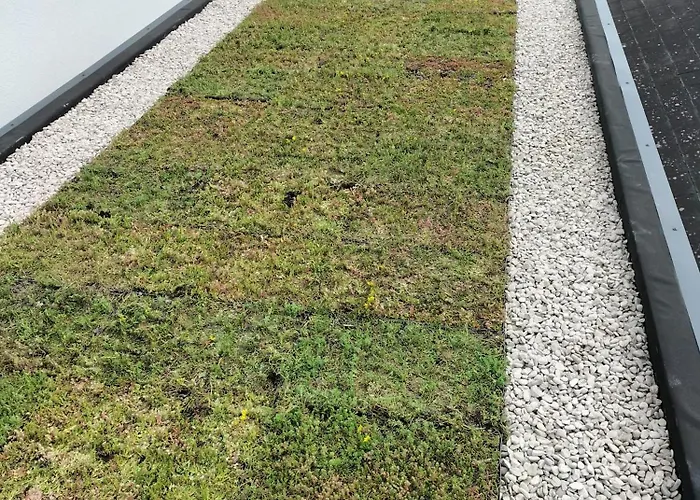 Apartment Zen Et Bois *